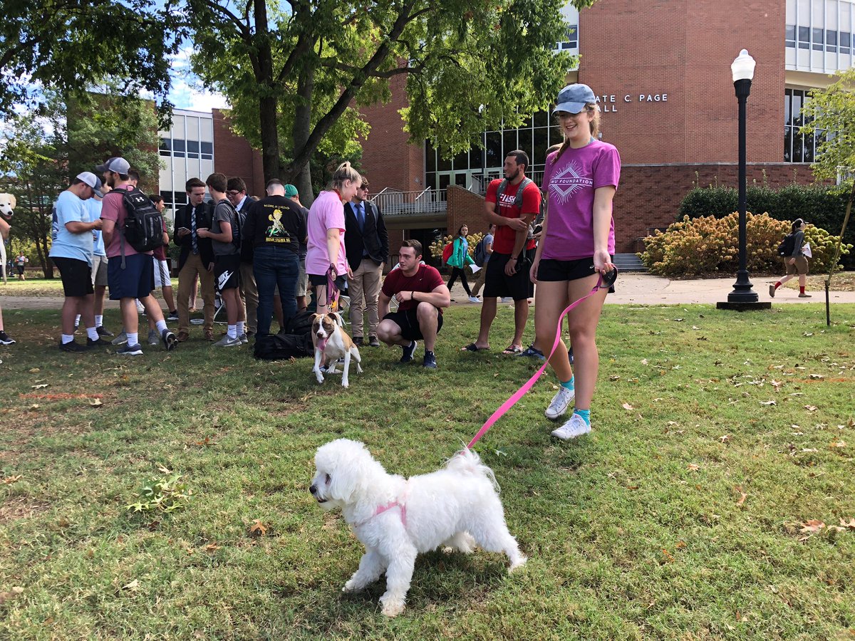 wku's tweet photo. Phi Mu is hosting Smooch a Pooch on WKU South Lawn today. Head over before 2pm to help them raise funds for Children’s Miracle Network Hospitals! https://t.co/NIp1nrXnJr