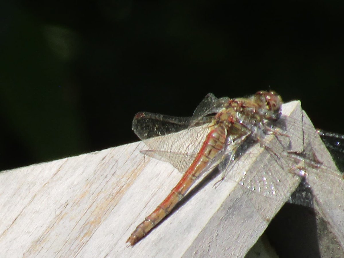 Cragknowe Cottage tweet media