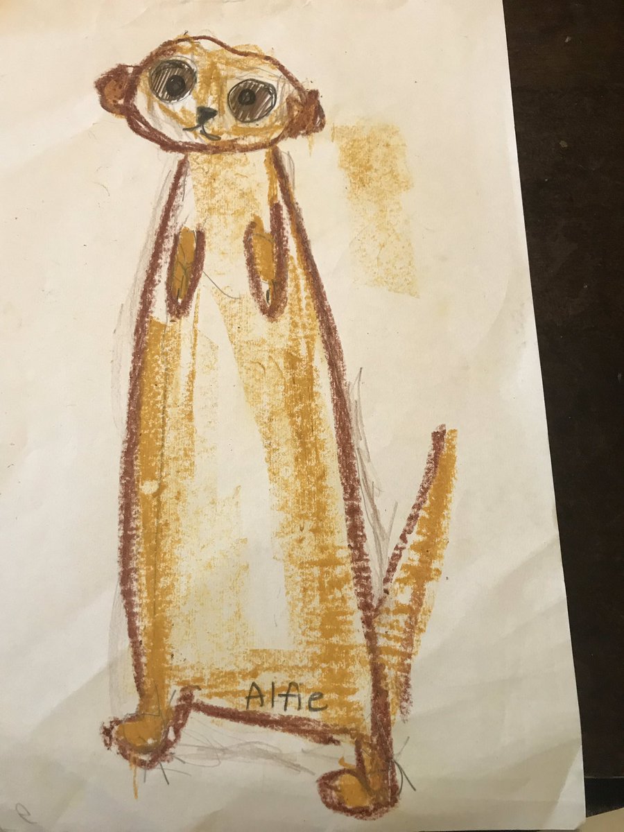 MrsMaker4's tweet photo. #meerkatmail Emily Gravett #meetkat illustrators by Y2 @BHPSMansfield #Nottingham @simonschuster @ArtsAward @Artsmarkaward @MightyCreatives https://t.co/MAyVi1YJ5Q