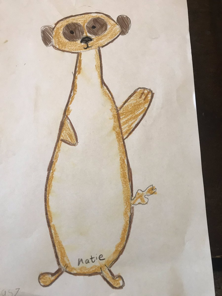MrsMaker4's tweet photo. #meerkatmail Emily Gravett #meetkat illustrators by Y2 @BHPSMansfield #Nottingham @simonschuster @ArtsAward @Artsmarkaward @MightyCreatives https://t.co/MAyVi1YJ5Q