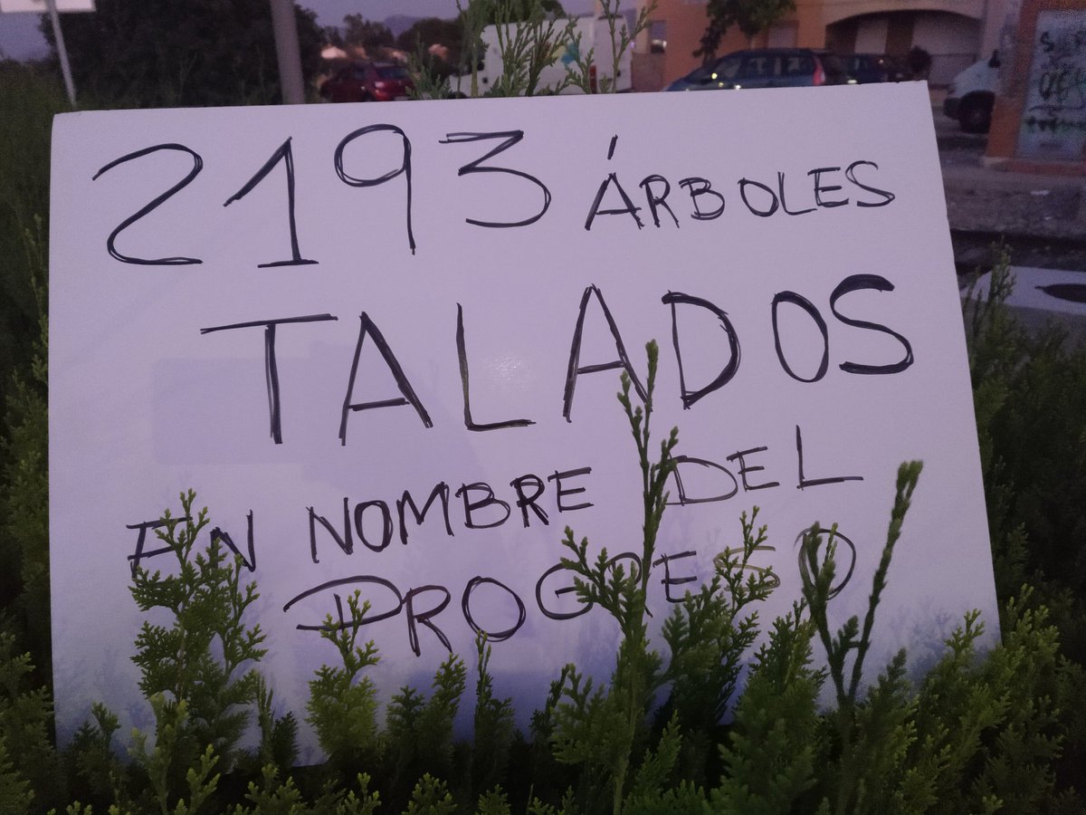 #2193Årboles #AVENo