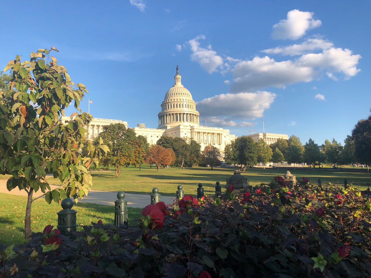 Whitbone's tweet photo. Had great meetings with staff for @RepGusBilirakis @marcorubio and @CharlieCrist to advocate for #transportation #housing and #planning 
Thanks for great dialogue   #APAPolicy19 https://t.co/GlWOh8xsnN
