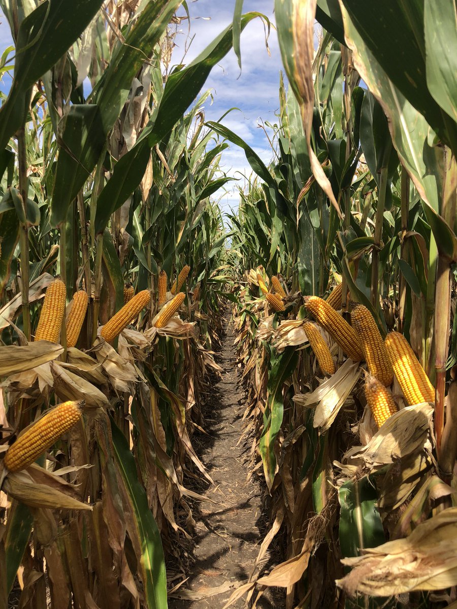 Adam Brinker tweet media