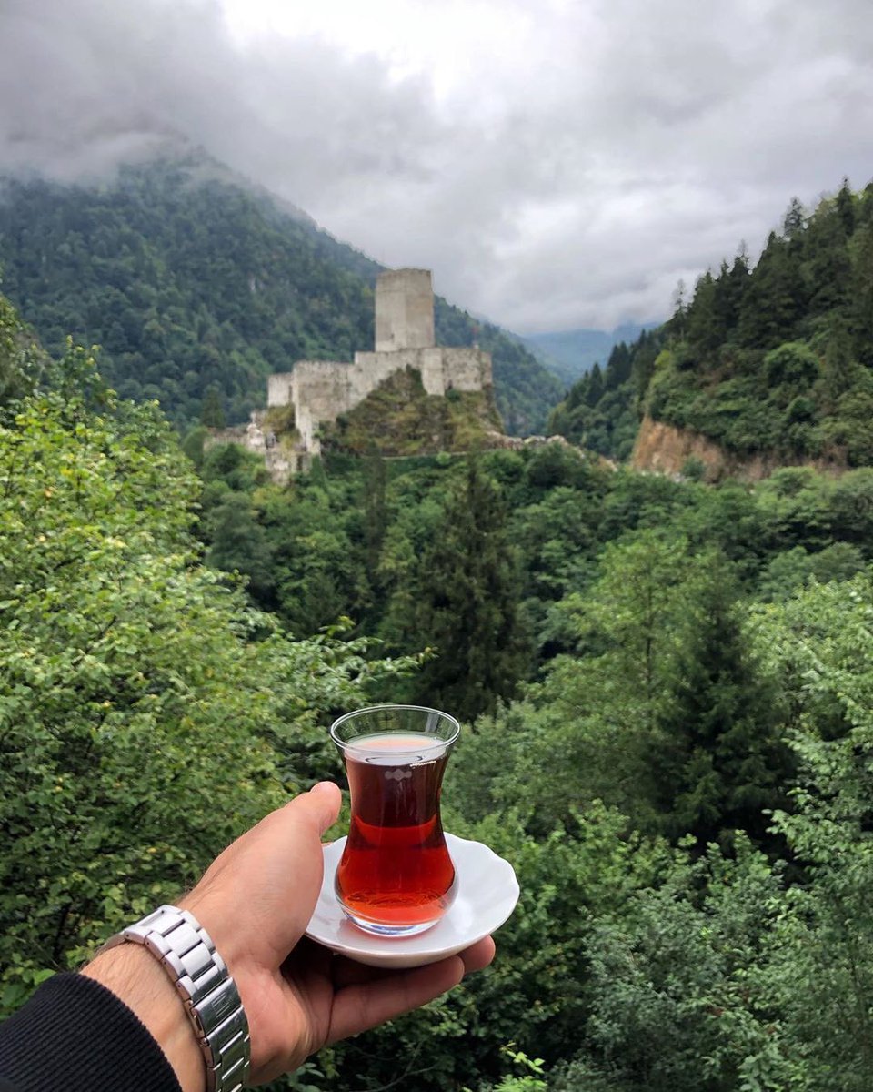 Ç A Y A D A M I N M A Z O T U D U R 🌿