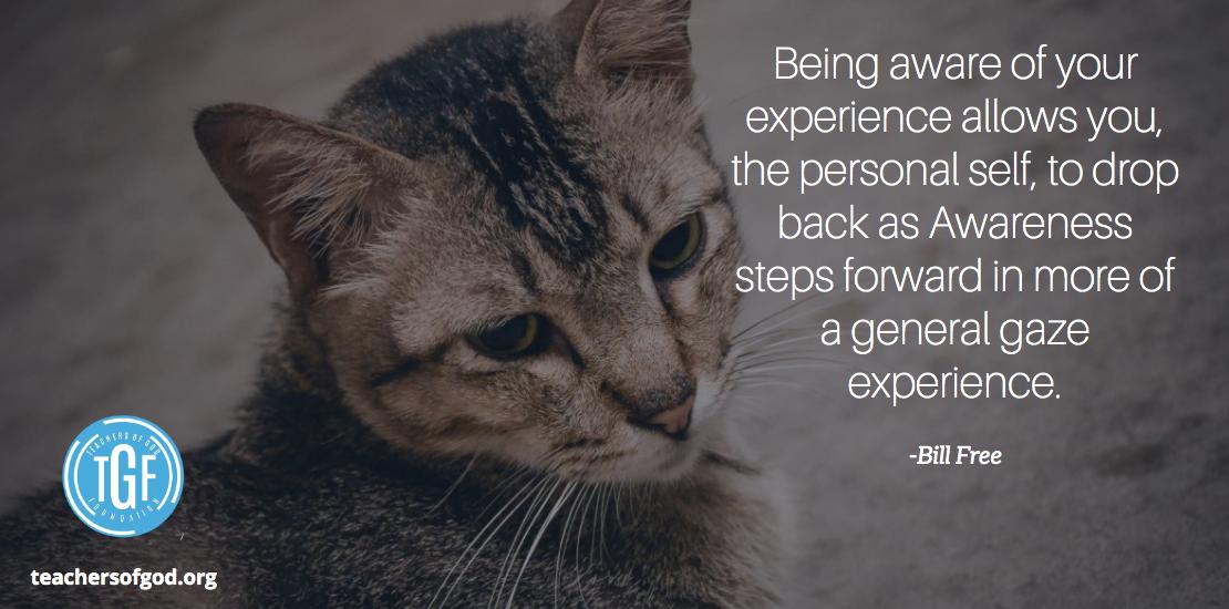 centerforawake's tweet photo. Enter into a direct experience with Bill Free. Read more on our blog: https://t.co/4gFxOso4ag
#directexperience #awareness #trueself #enlightenment #purepresence #iam #knowing #christconsciousness #christ #jesus #god #holiness #vision #connection #acim #acourseinmiracles https://t.co/HBJ8S2SPVg