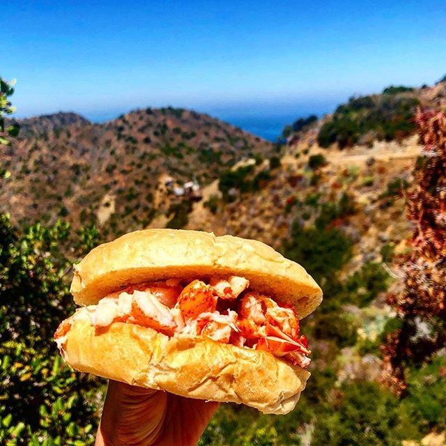 This beautiful #lobsterroll is made by The Lobster Trap and brought to you by thattastygoodness! 
#nationallobsterday #catalinafoodie #catalinaisland #nomnom #foodie #lafoodie #ocfoodie #foodiegram #lobster #avalonfood #catalinafood #foodwithaview
