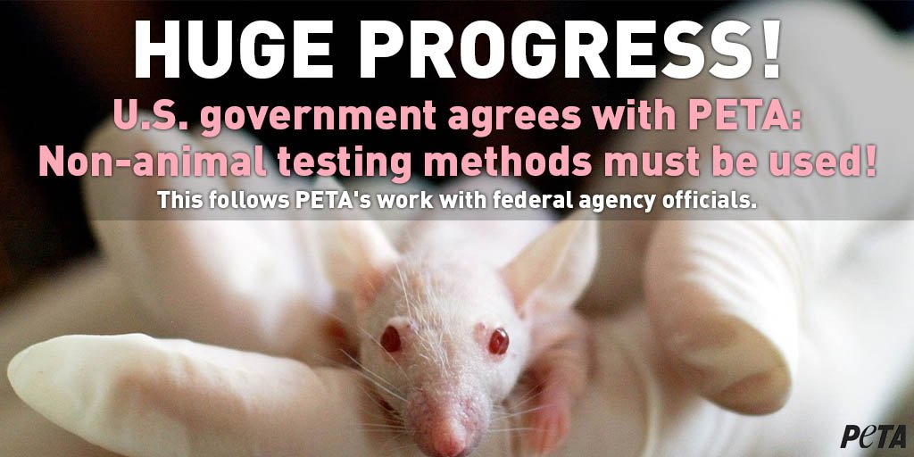 PETA в Твиттере: «BREAKING: Following work with PETA scientists, the . government agrees that non-animal testing methods must be used! For decades, money has been wasted on cruel experiments on animals. This PETA в Твиттере: «BREAKING: Following work with PETA scientists, the . government agrees that non-animal testing methods must be used! For decades, money has been wasted on cruel experiments on animals. This