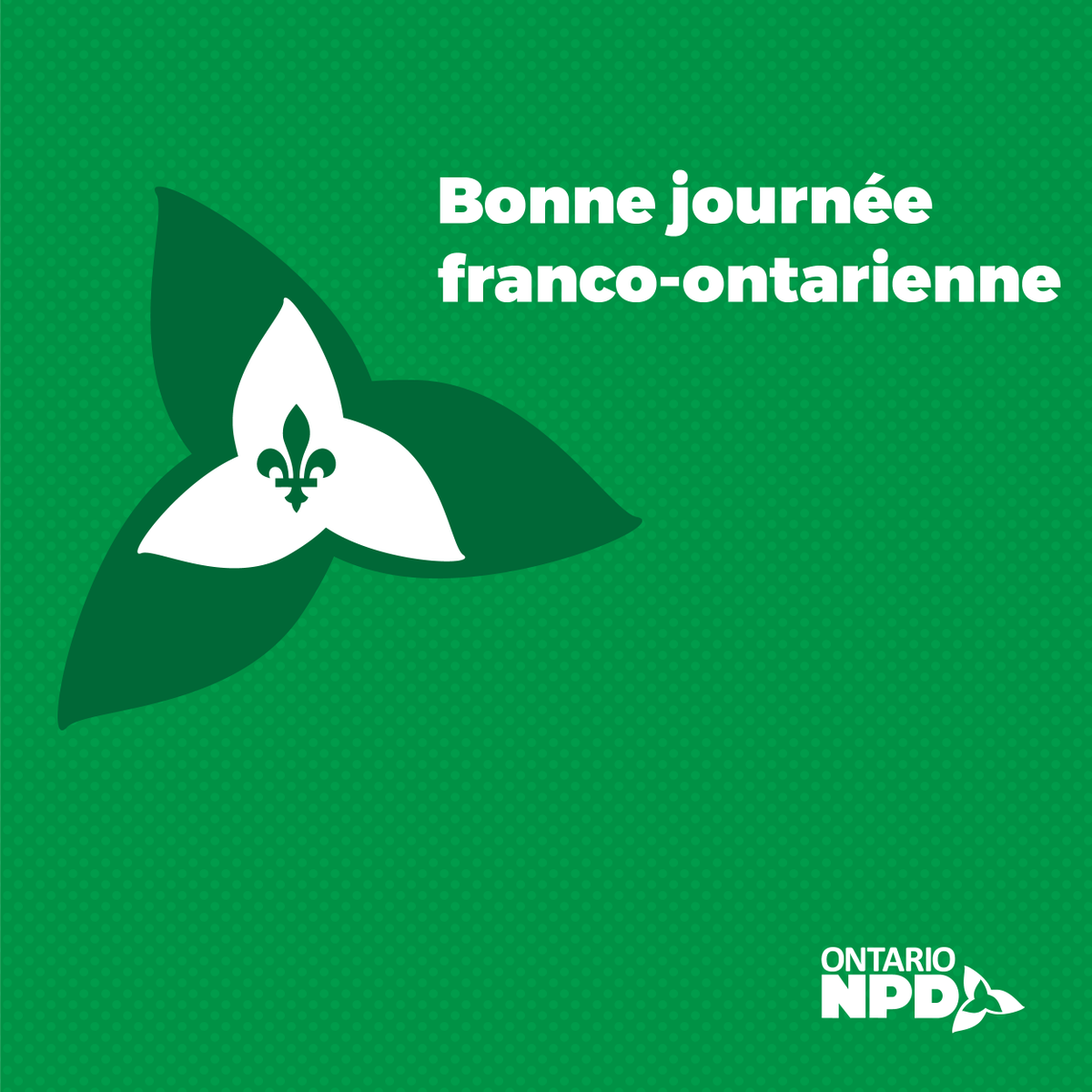 Monique Taylor tweet media