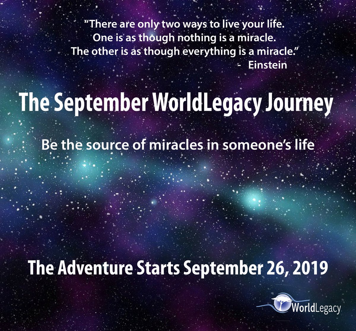 Lori Todd tweet media