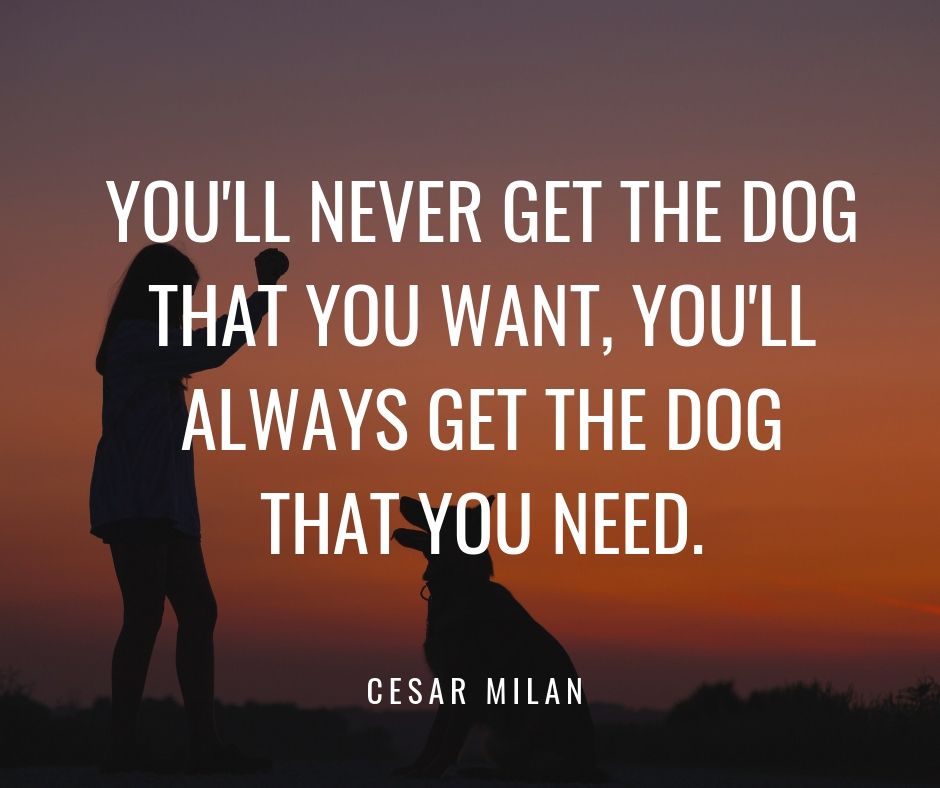 Value Vet tweet media