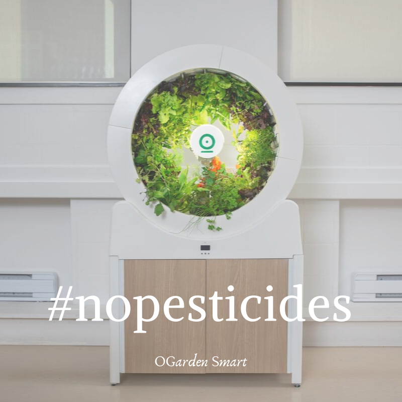 OGarden, a fight against pollution by pesticides. See the new article on our website ! bit.ly/2lbeL7V

#nopesticides #ogarden #ogardensmart #indoorgarden
