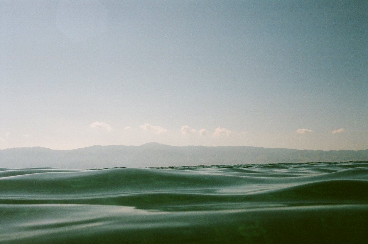 Going deep with the Nikonos. #photography #film thehandandeye.com/blog/9-25-2019…