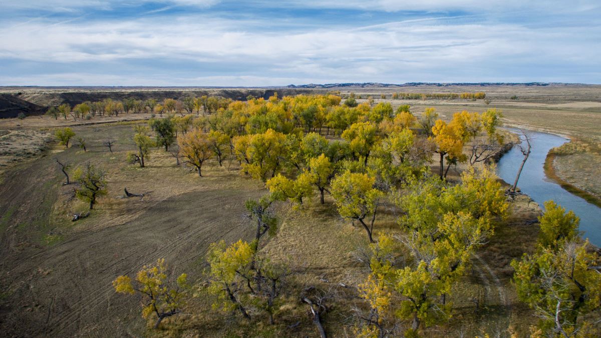 phillips_realty's tweet photo. Musselshell River Property - Melstone, Montana - https://t.co/HWR1UjLMtA
#phillipsrealty #est1982  #takealook #bealandowner #farmandranchrealestate #melstonemontana #musselshellriver https://t.co/TiuyacpYFr