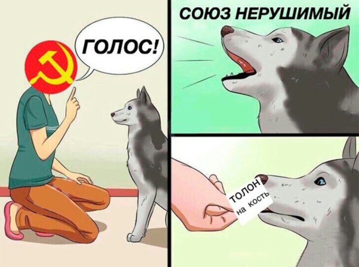 EFVaukkXYAUYR40?format=jpg&name=900x900