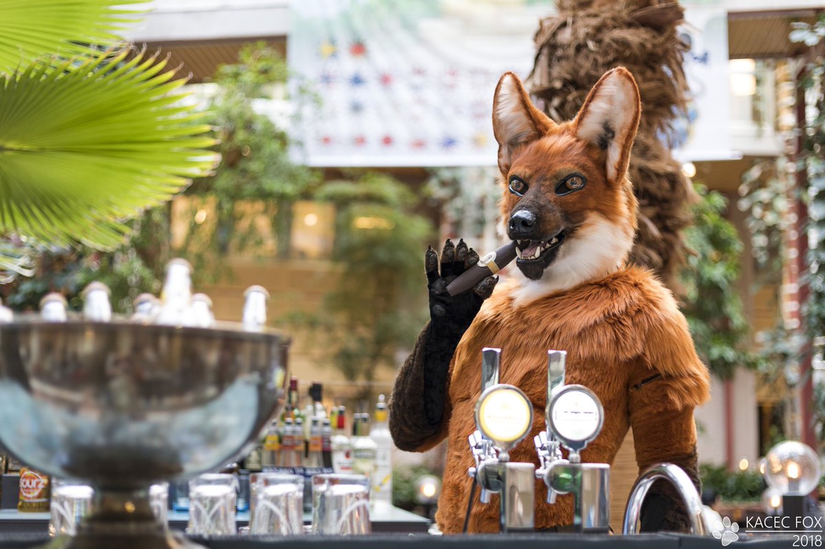 “Are you gonna order soon or do you need to run home before it gets dark?” #nordicfuzzcon2018 #foxonstilts 📸 <a href="/KacecFox/">Kacec The Fox 🇩🇪</a>