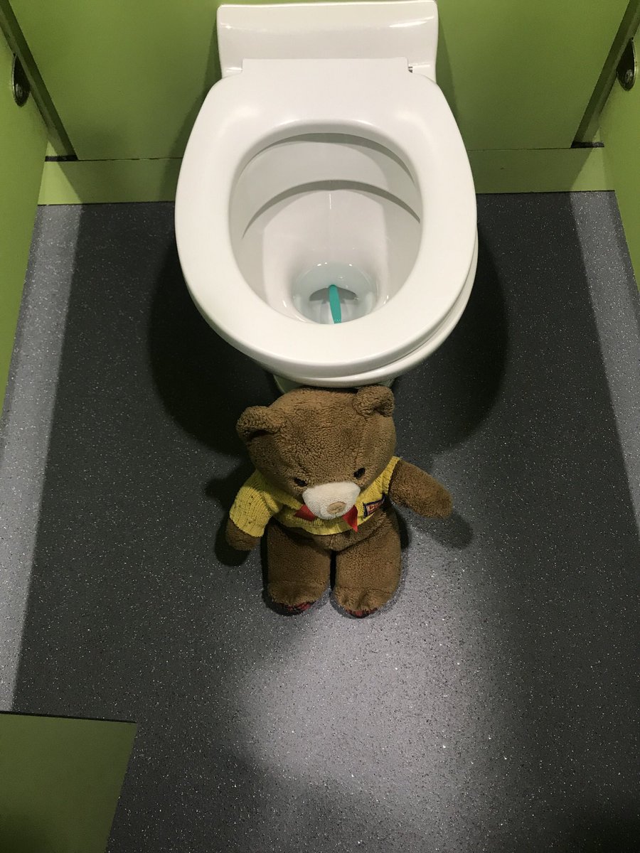 MissKStansfield's tweet photo. When your class bear decides to not brush his teeth and put his toothbrush down the toilet... CUE 28 Busy Bees educating him on how to look after himself properly 🤣 https://t.co/dL6Gytt3ut