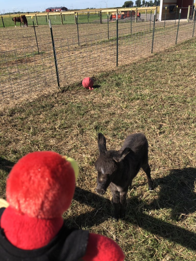 real_bbirdcob's tweet photo. Made some new friends #byeeric https://t.co/1TRxf5loeS