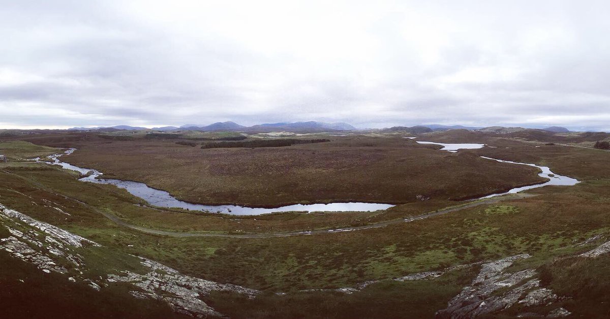 David S. Manson tweet media