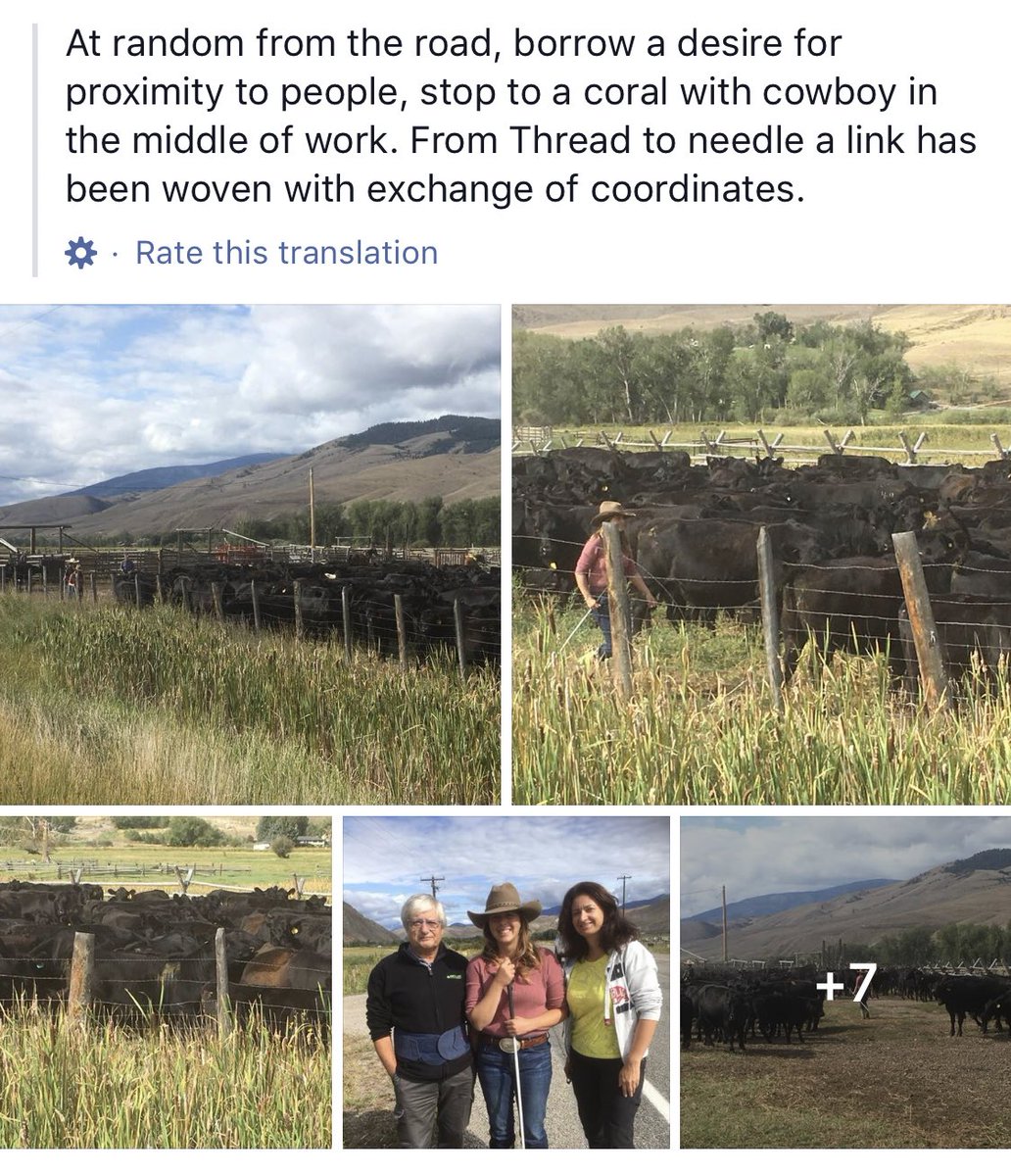JLazySAngus's tweet photo. Kindness and sincerity matter, this is not just something I do on social media.
#RanchLife
When people stop to watch we go introduce ourselves and invite them for a closer look. These amazing people were traveling from France.
Visitors are welcome! https://t.co/H383XVMYR4