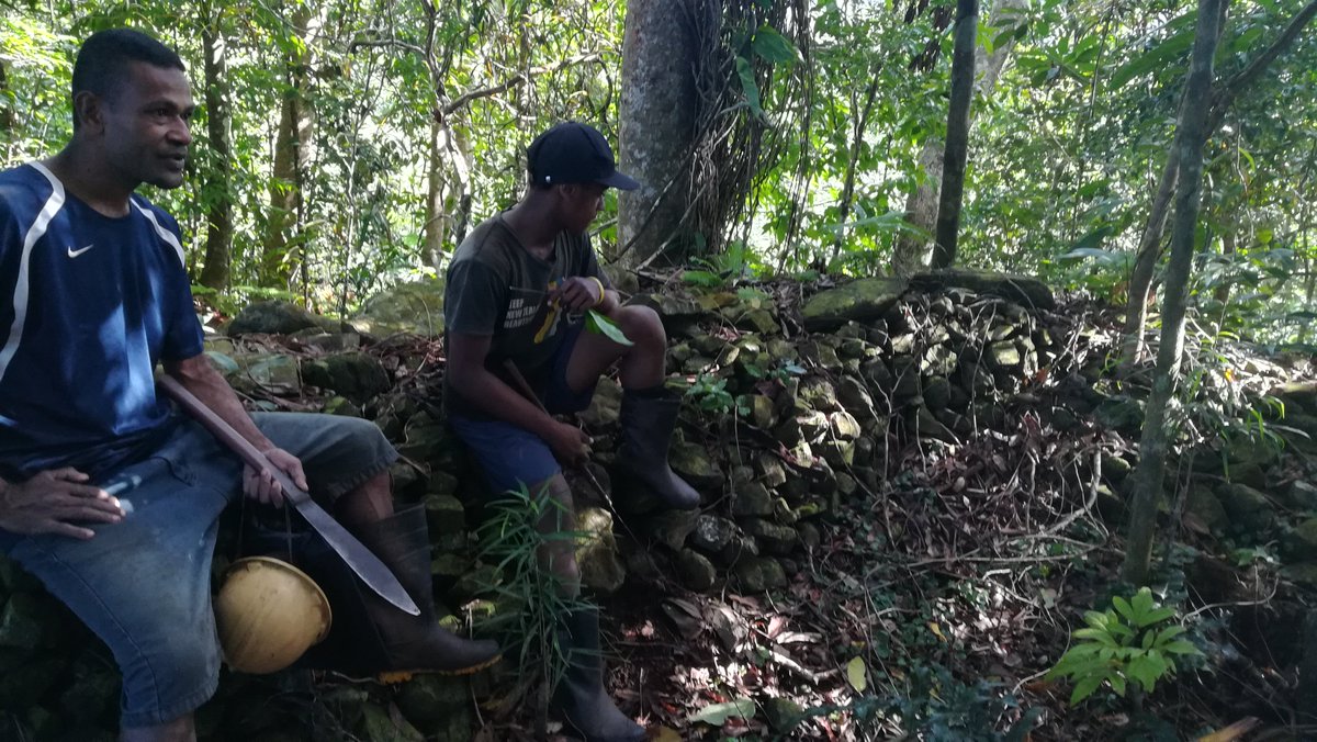 Nakau Programme tweet media