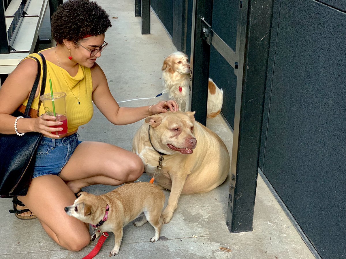 gltrgrlll's tweet photo. personality pics 🐕❣️ #livelovedogs https://t.co/KJzMFMqLIL