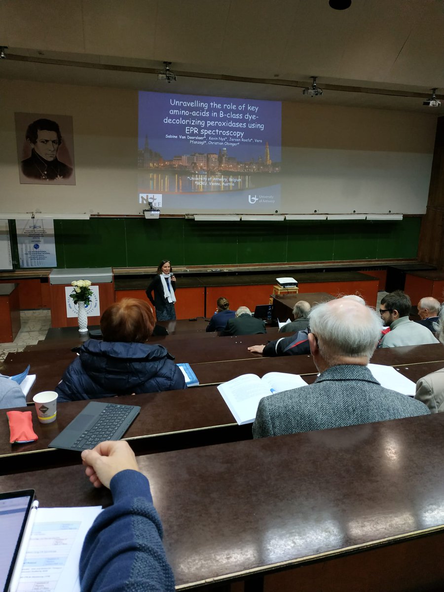 TSM2_EPR's tweet photo. Today @KazanUni , Sabine Van Doorslaer is delivering some of the newest insights in dye-decolorizing peroxidases using #EPR. Further reading on #DyPs : https://t.co/ks4XbQNNs1 https://t.co/mvvVgdfOG4