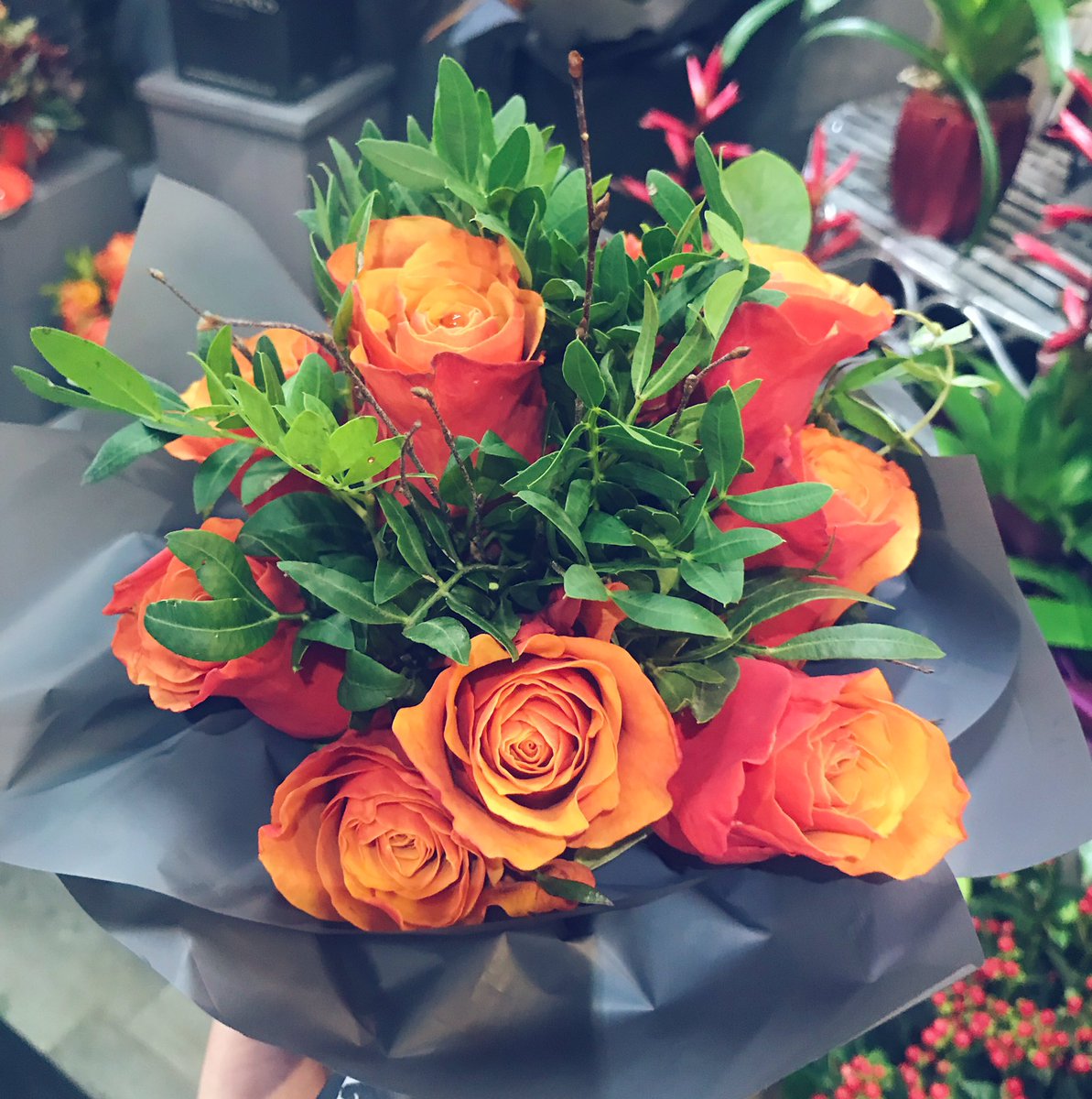 Alexis Forsyth tweet media