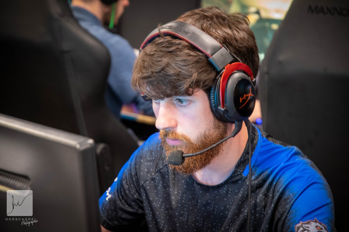 TheDice 🎲 tweet media