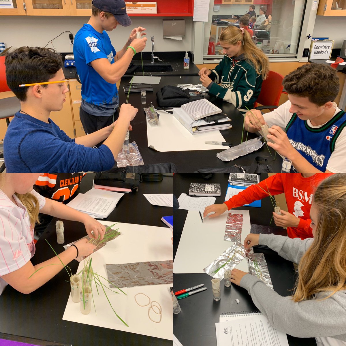 science_at_bsm's tweet image. Oat seeds coming to an end, now on to exploring biomass along with matter and energy flow #datahogs