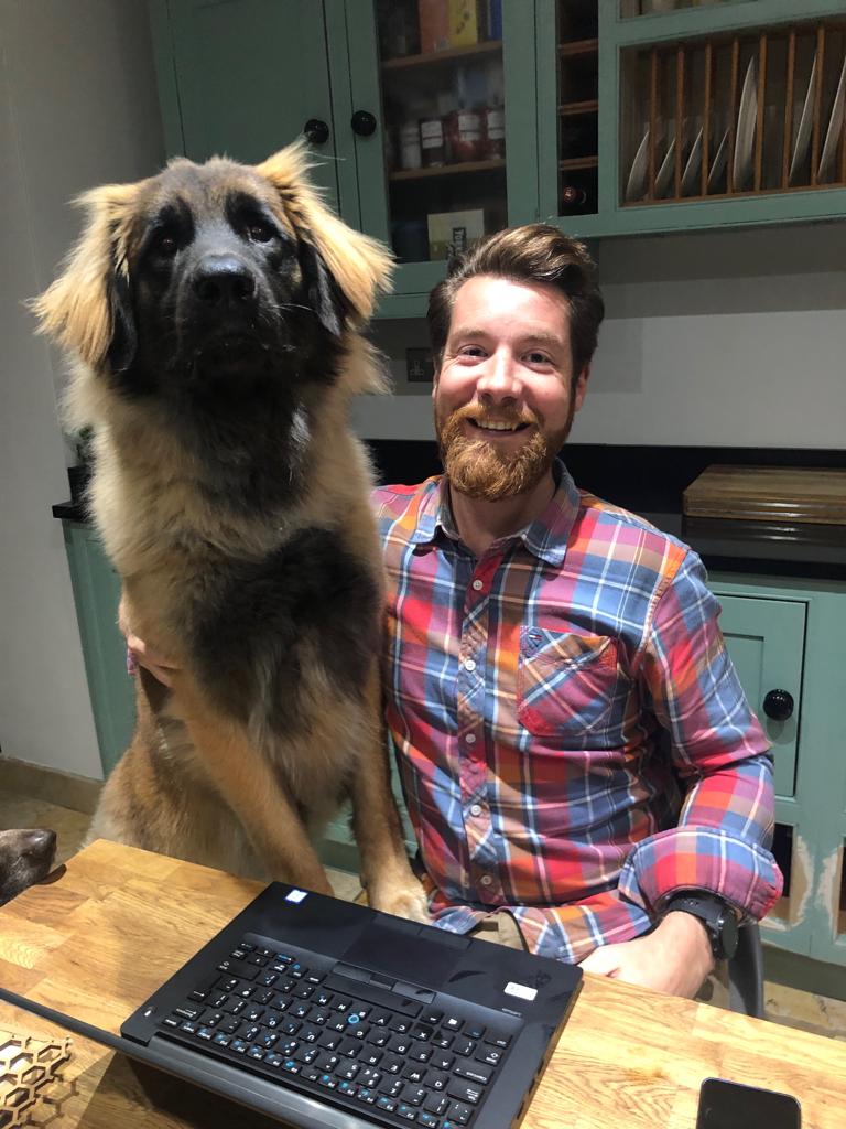 phillbeecroft's tweet image. Happy 1st birthday to my massive puppy Wilma. She's still growing and thinks it's time to stop working and go for a walk. #leonberger #dogsofmercer #merceractive