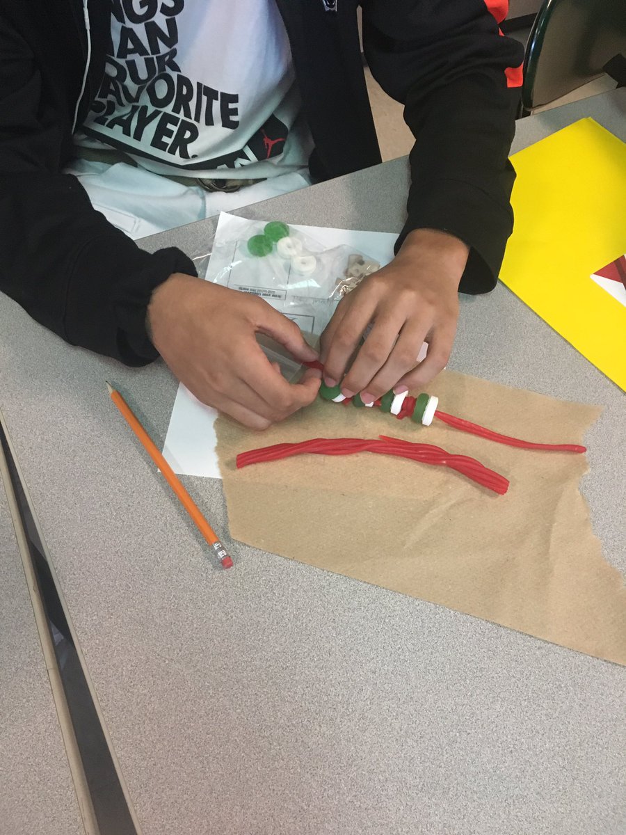 Dani_Sani19's tweet image. Learning is always more fun when food is involved 🍬 #spinemodel #engaged #licoriceandlifesavers #highschool