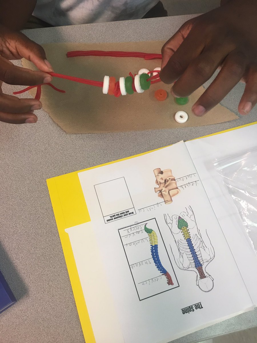 Dani_Sani19's tweet image. Learning is always more fun when food is involved 🍬 #spinemodel #engaged #licoriceandlifesavers #highschool