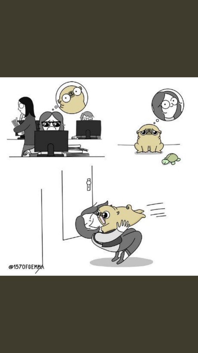 Así las cosas ahora que regresé al trabajo... 🥺
157 Gemma