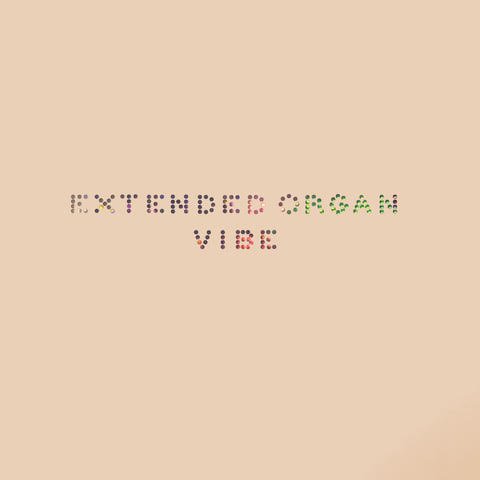 LAFMS's tweet image. New addition to the LAFMS webshop: The new Extended Organ LP, "VIBE". See/hear what Artillery Magazine calls "...elegantly erotic anarchism at the heart of the organ." lafms.com/store