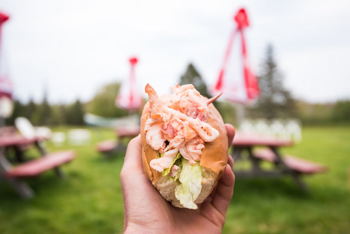 SpectrumHCP's tweet photo. We can't wait to enjoy a fresh lobster roll for dinner to celebrate #NationalLobsterDay! What's your favorite way to eat lobster? #lobsterroll #dinnertime #mainedinner #spectrumloveslobster https://t.co/A9QDN1YoNX