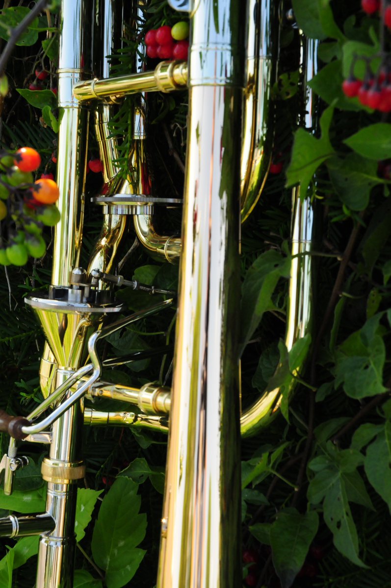 EdwardsInstCo's tweet photo. B454-DE available for immediate delivery. 

#edwardsinstrumentco #dependent #trombone https://t.co/sKv1qNVAxi