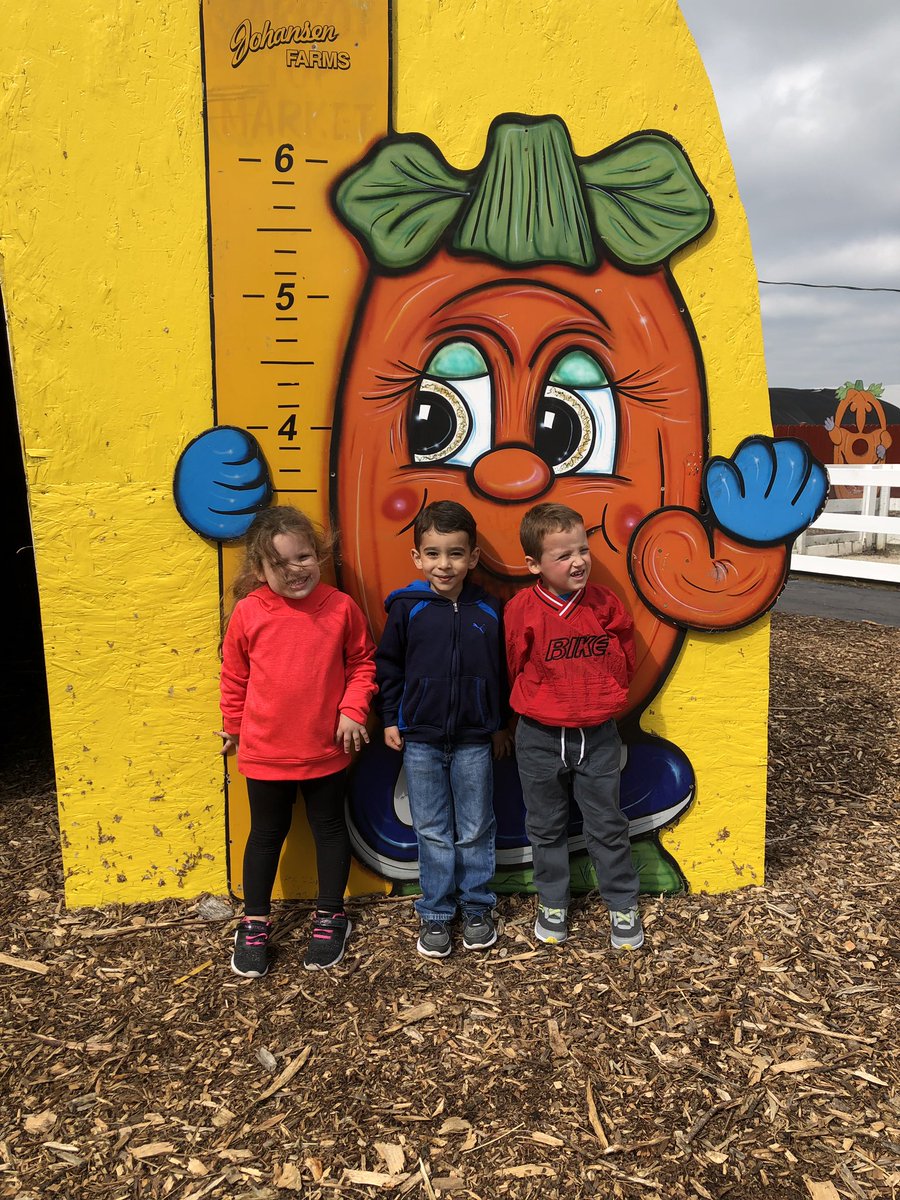 Carolyn Stone tweet media