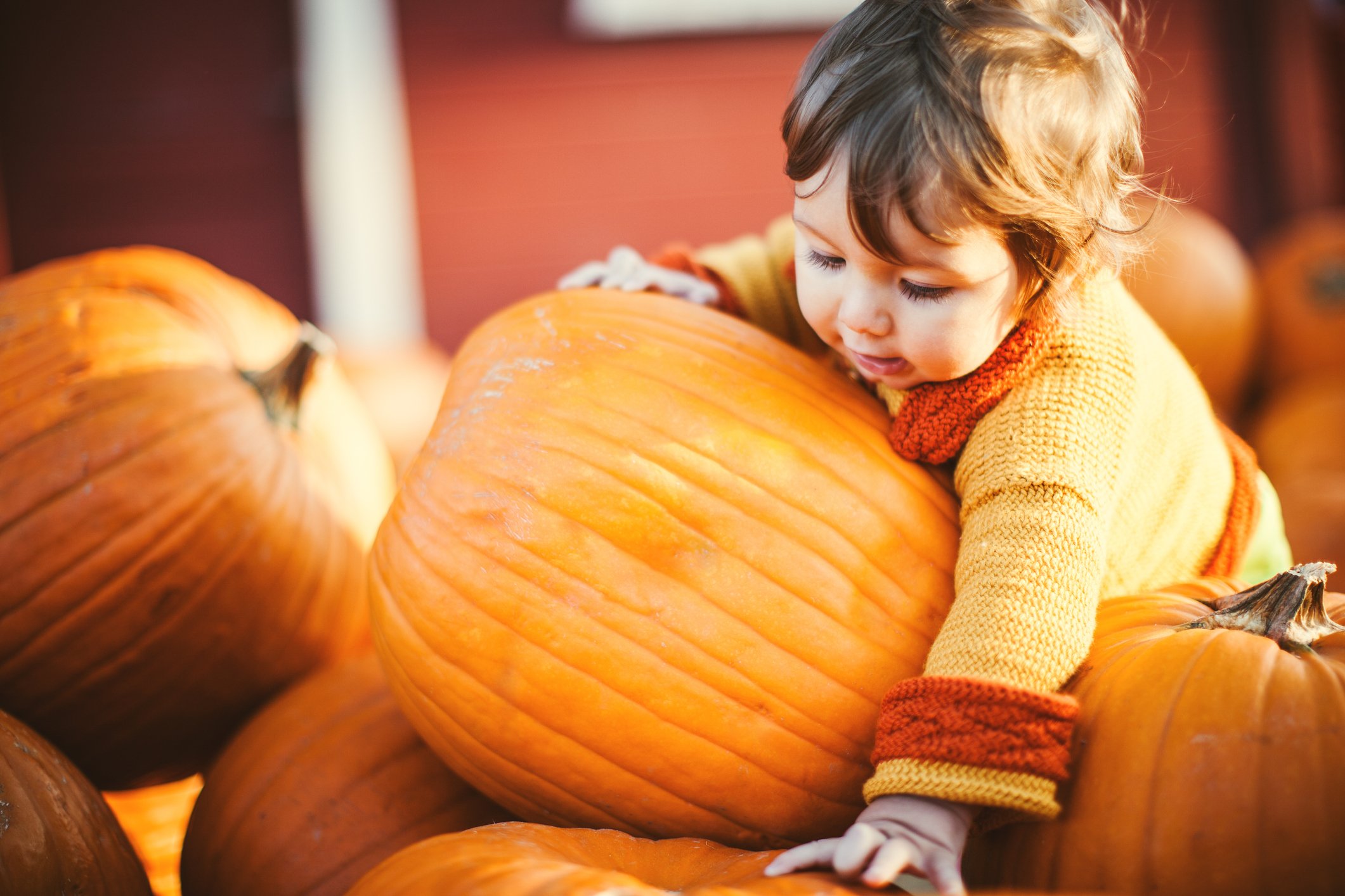 Children with Pumpkins