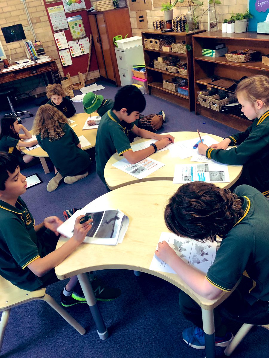 EmusCPS2019's tweet photo. Exploring some cool renewable energy inventions during Literacy... I wonder if we could use any of these  ideas for our own products? https://t.co/J10zL6FTr6
