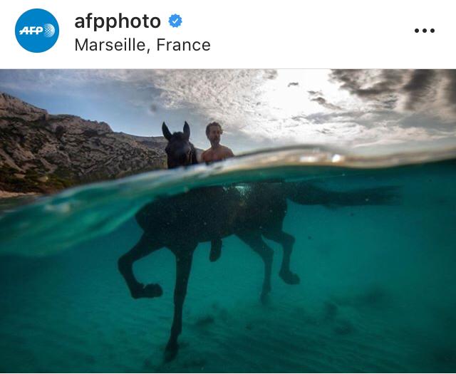 Agence France-Presse tweet media