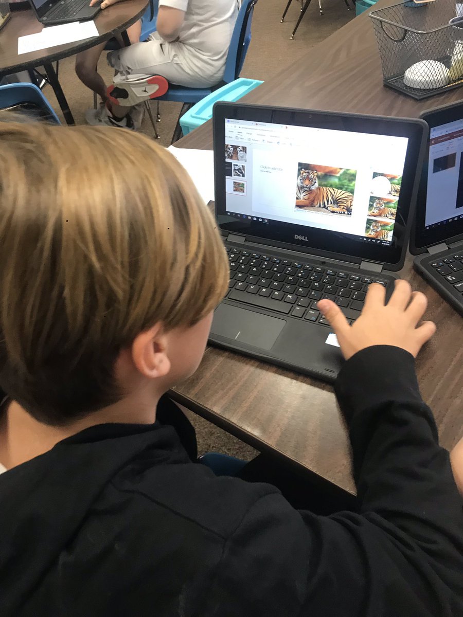 MsStenchever's tweet photo. Finishing up our culminating project for our text, Tiger Rising. #proudteacher #textevidence https://t.co/GaEGYOC3D1