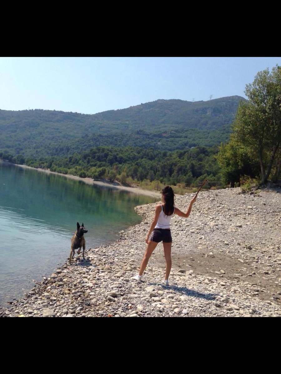GudoNino's tweet photo. Les amis soumis qui ne rêveraient pas d être à la place du chien il a tellement de chance d avoir une maîtresse aussi jolie j envie ce chien les amis #Lifedog #Soumis #Maitresse #Chien #Dogslave #Labellevie #avoirsaplace #jealoux #Alpha #Girlpower https://t.co/BmAGrAD2jo