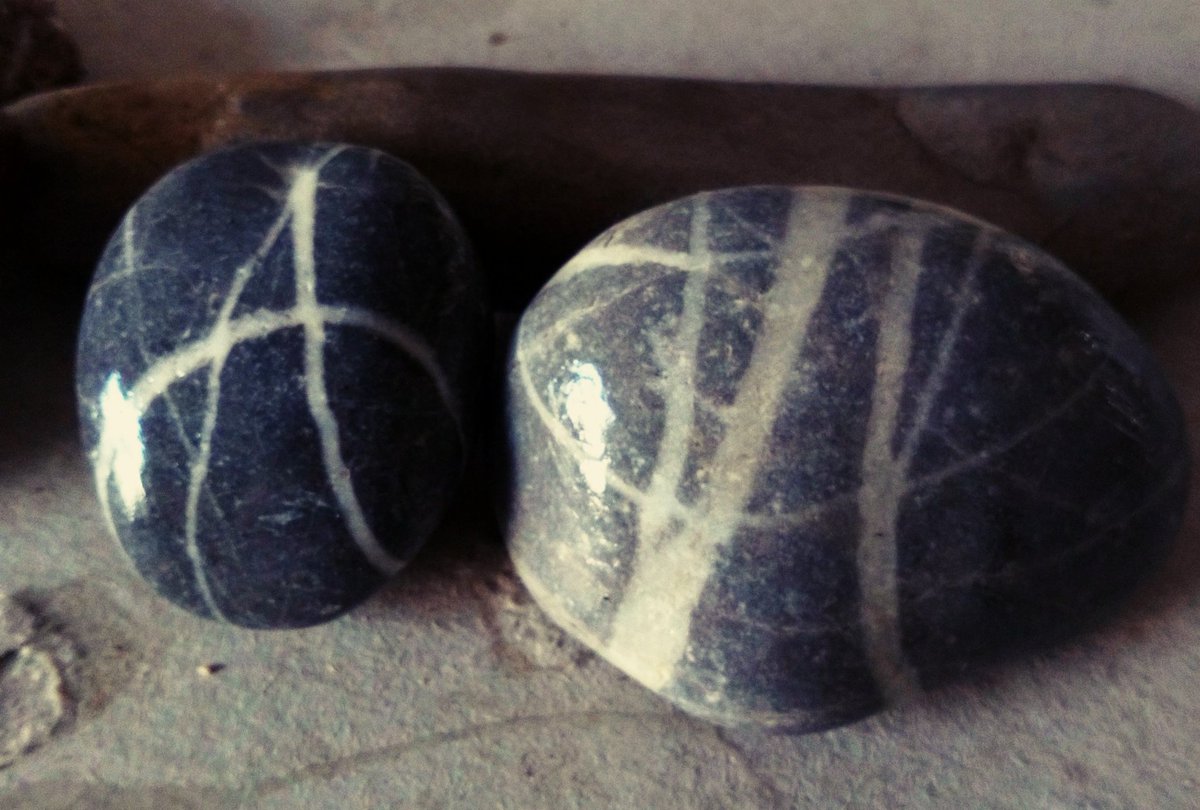 dieExplikatorin's tweet image. Wer findet die "Botschaft?"