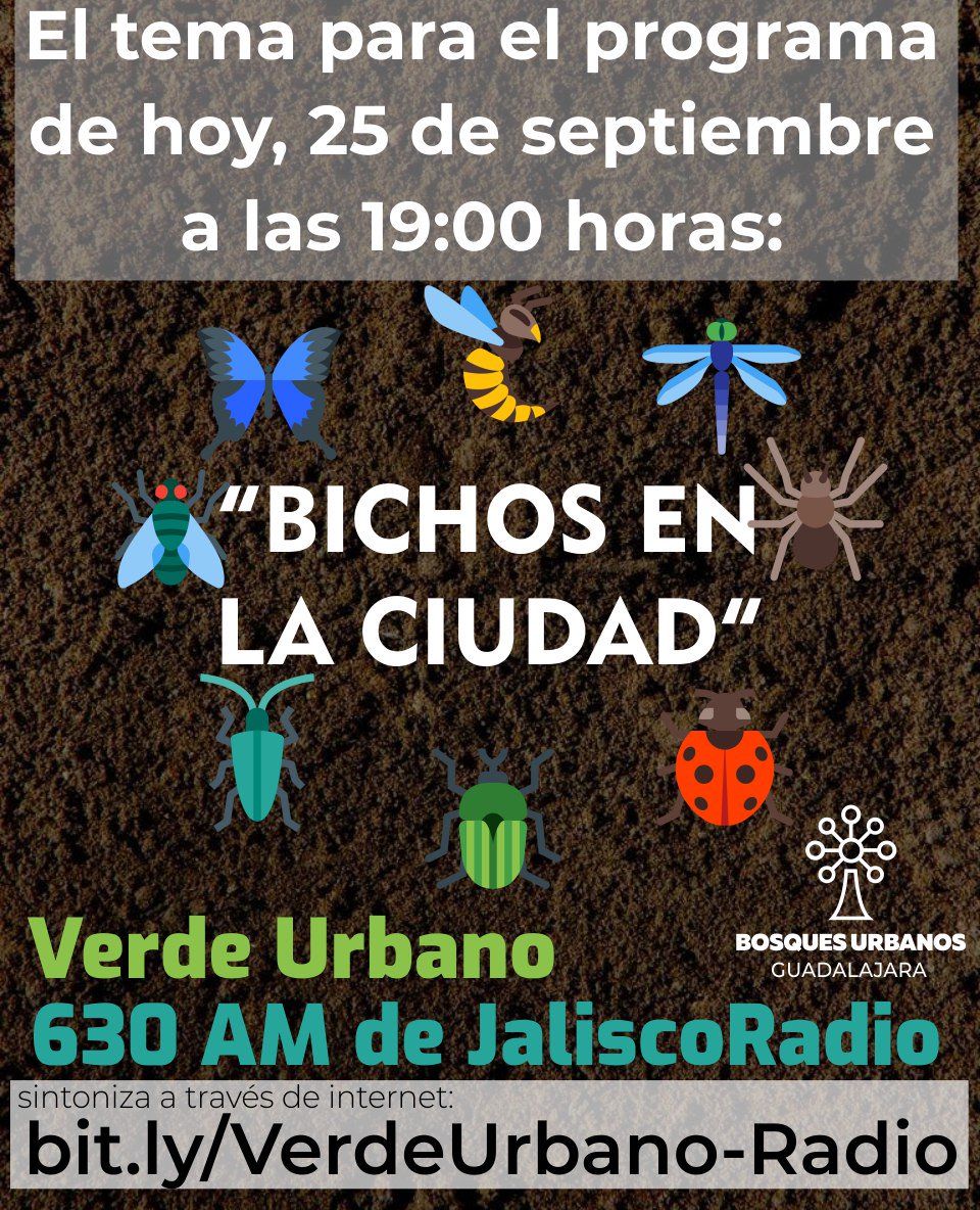 Bosques Urbanos tweet media