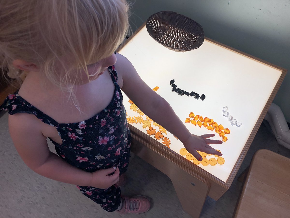 farahvirji's tweet image. Found this student sorting materials at the light table this afternoon! “It took me a long time! These are all the pumpkins!” E.O. #kindergarten #lighttable #fun #math 🍂🍁🍃🎃 @TDSBmath411 @tdsb_selwyn