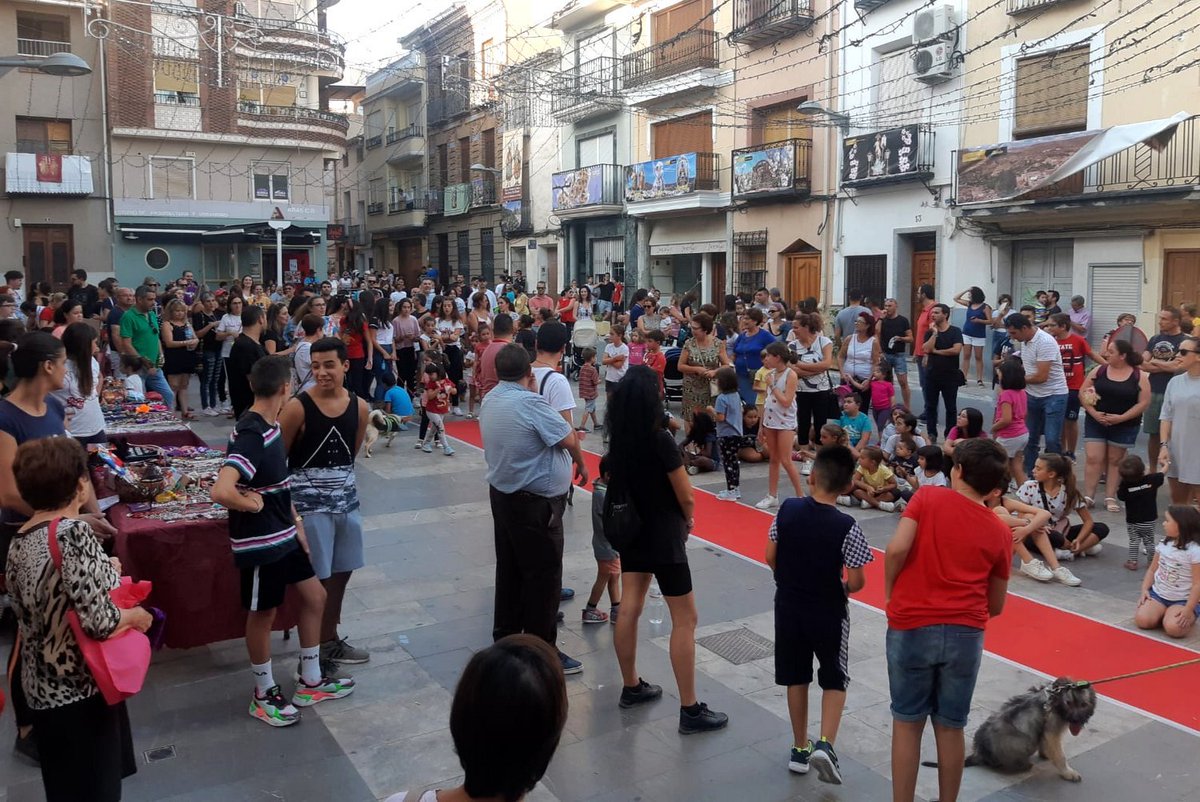 Ae7d's tweet photo. 🐶😺 Unas treintena de mascotas de Abarán volvieron a la pasarela benéfica de la protectora 'Por un amigo fiel'

Más info:
⬇️⬇️⬇️
https://t.co/6IRjTyPZ9m https://t.co/0si75cXdAC