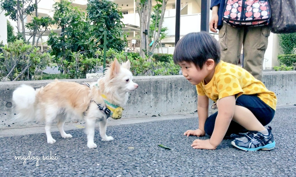 75japan_neko's tweet photo. mydog＆friend https://t.co/4WsOOPWbOl