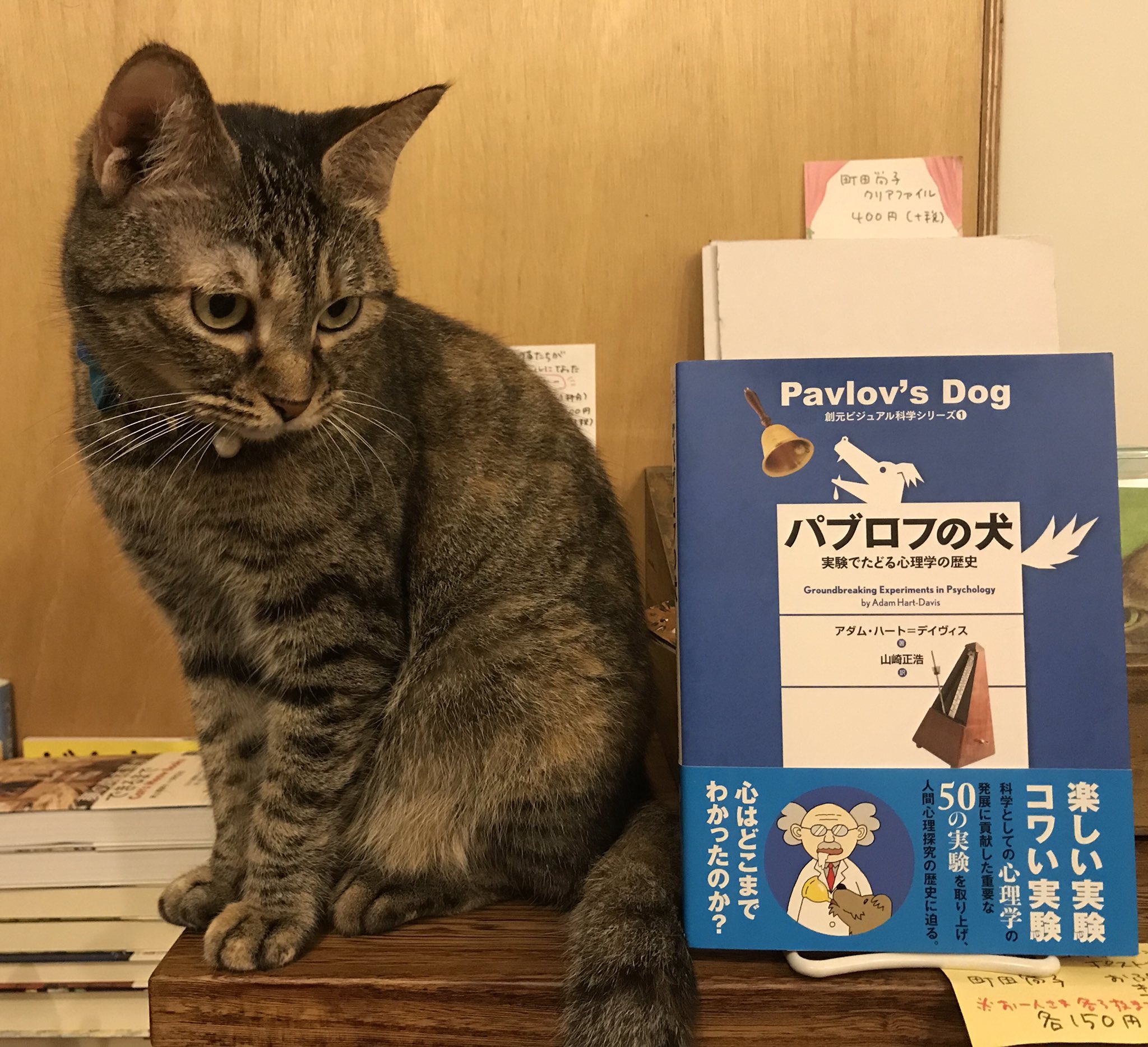 キャッツミャウブックス 9月26日はグレゴリオ暦でのイワン パブロフの誕生日 創元ビジュアル科学シリーズ パブロフの犬 で 猫の問題箱 によるソーンダイクの試行錯誤説を知りました 特に今月は本屋の運営について大いに試行錯誤学習しております キャッツミャウブックス 9月26日はグレゴリオ暦でのイワン パブロフの誕生日 創元ビジュアル科学シリーズ パブロフの犬 で 猫の問題箱 によるソーンダイクの試行錯誤説を知りました 特に今月は本屋の運営について大いに試行錯誤学習しております
