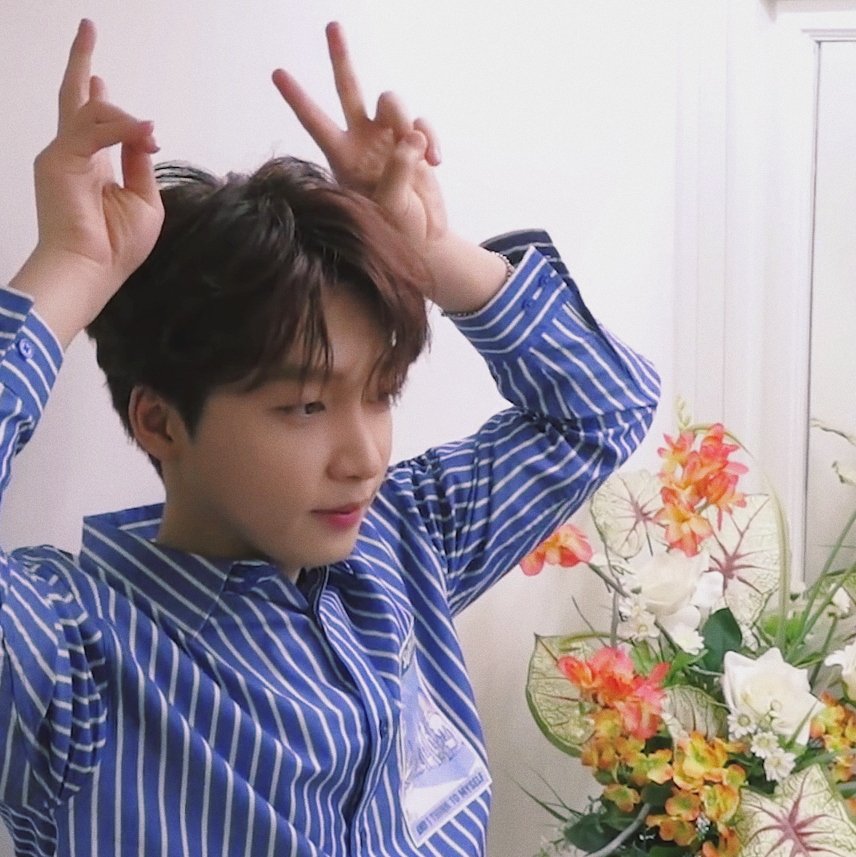 for_jsw's tweet photo. ㅤㅤㅤ

#정세운 #JEONGSEWOON https://t.co/6gvnJfmDCU