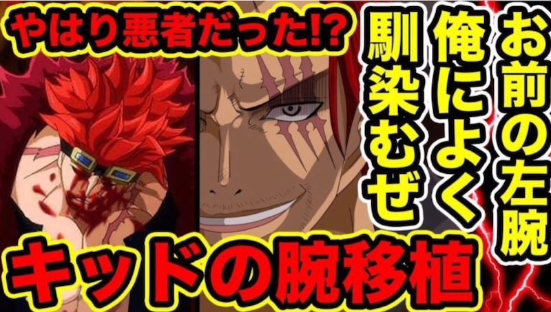ワンピースキッドの傷と左腕がない理由 シャンクスを狙うのはなぜ 漫画大好きブログ